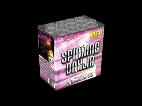 Nico Spinning Dahlia